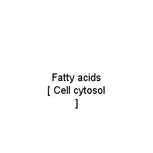 Fatty acids           [ Cell cytosol ]